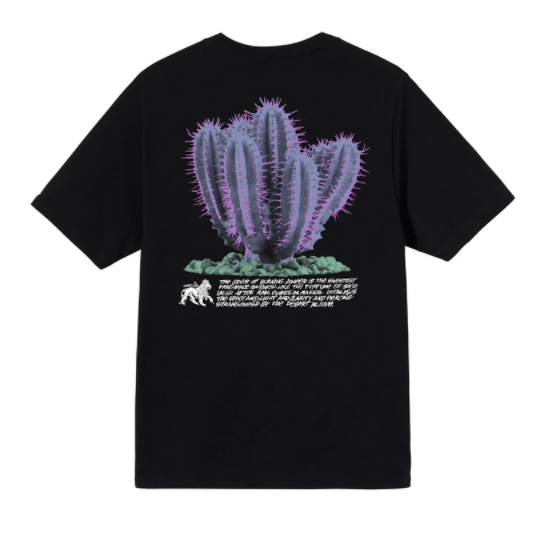 stussy cactus short sleeve tee desert bloom
