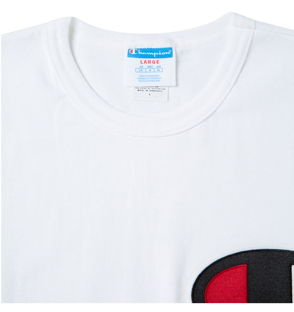 champion gt19 y06820