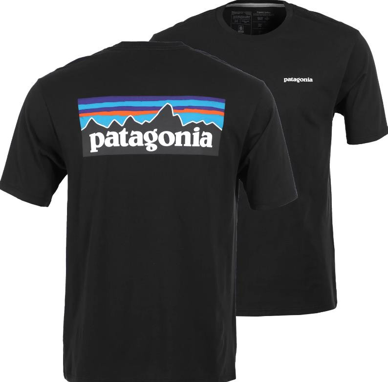 PATAGONIA P-6 Logo Organic Cotton T 