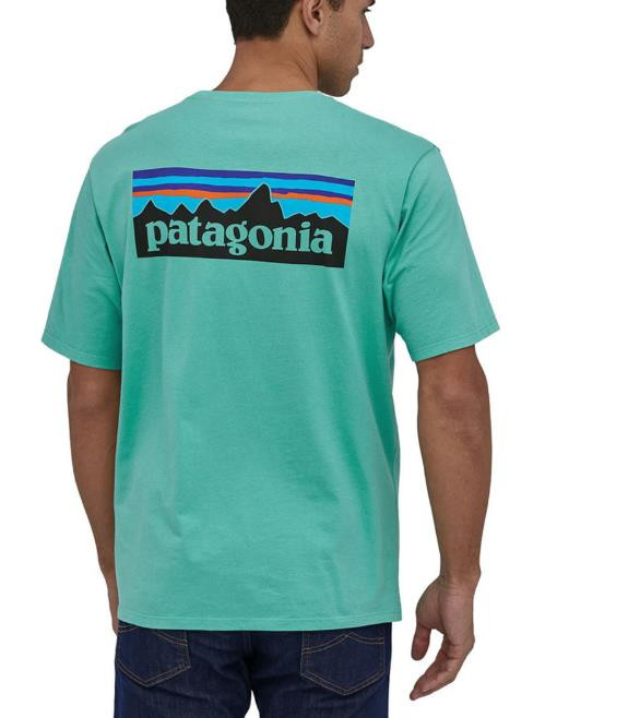 PATAGONIA P-6 Logo Organic Cotton T 