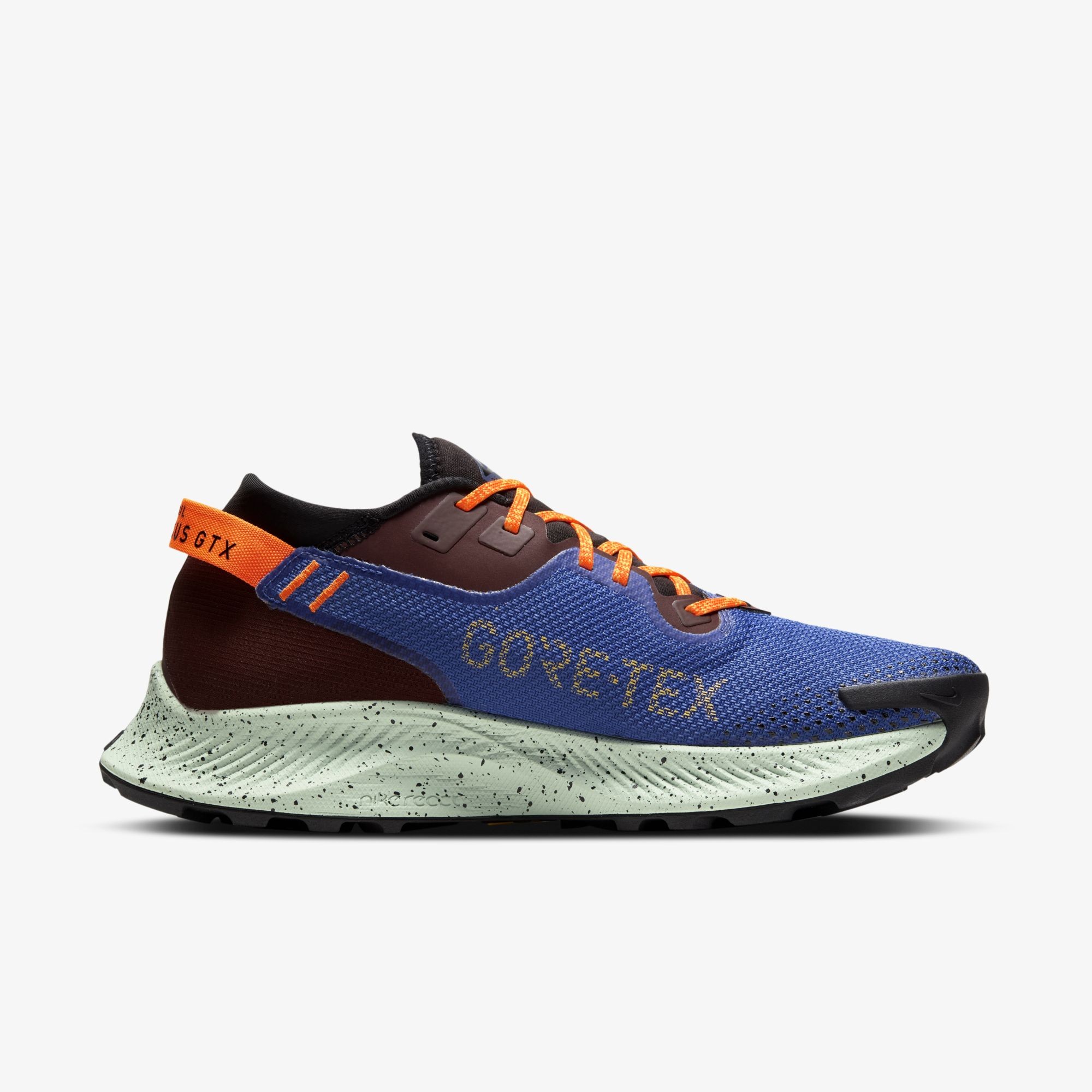 Pegasus Trail 2 Gore Tex (CU2016-600)