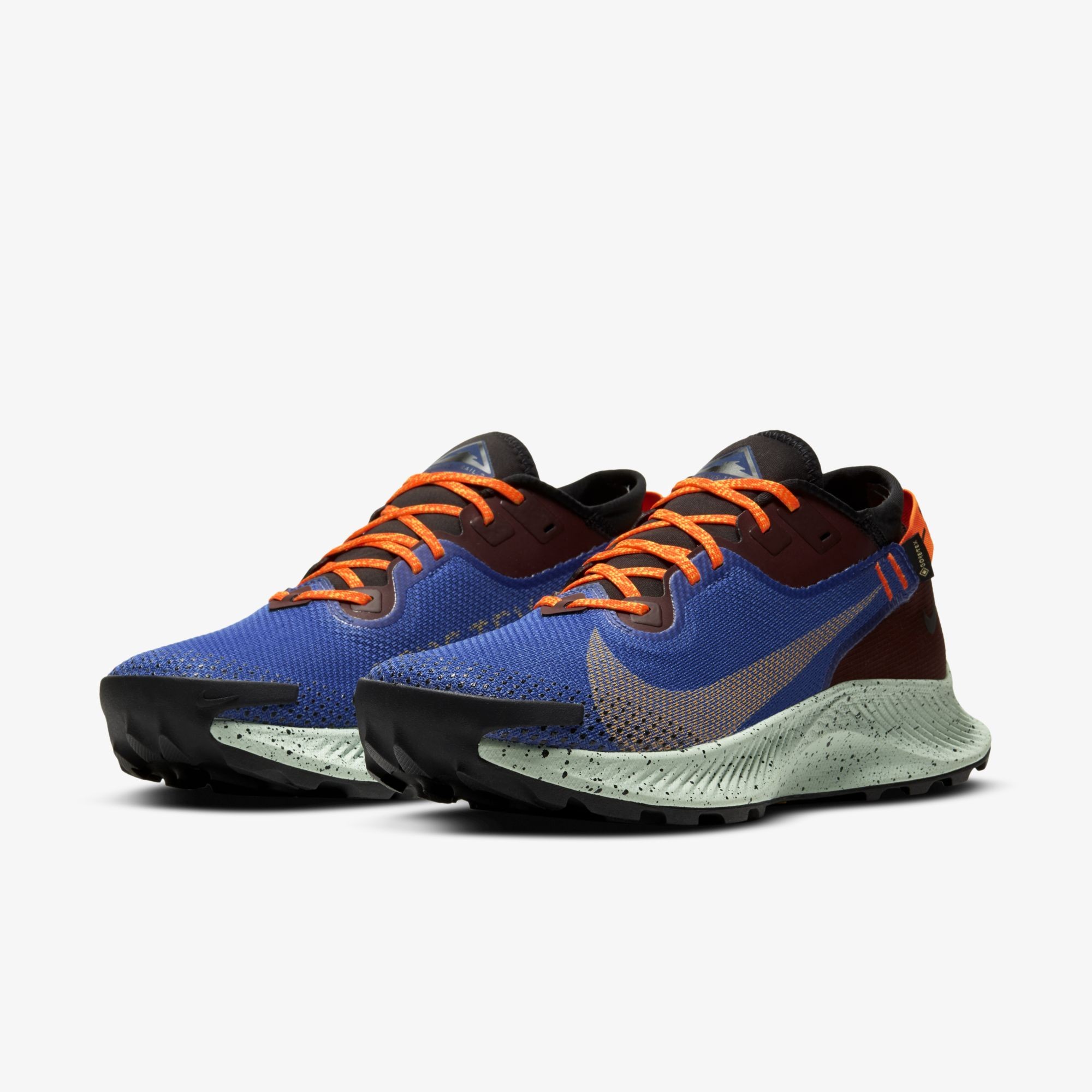 Pegasus Trail 2 Gore Tex (CU2016-600)